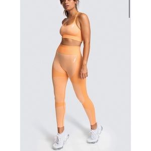 Do You Even Seamless Leggings